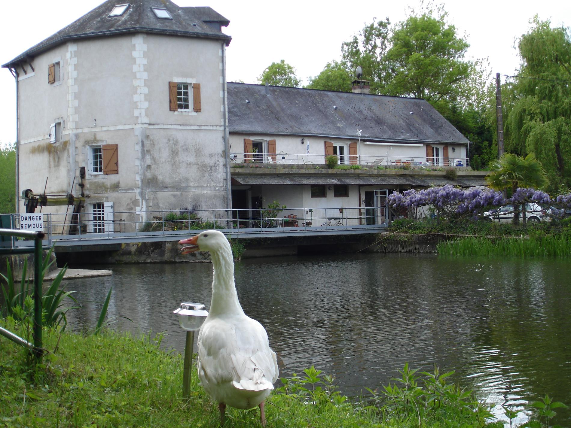 Moulin de la Barbée