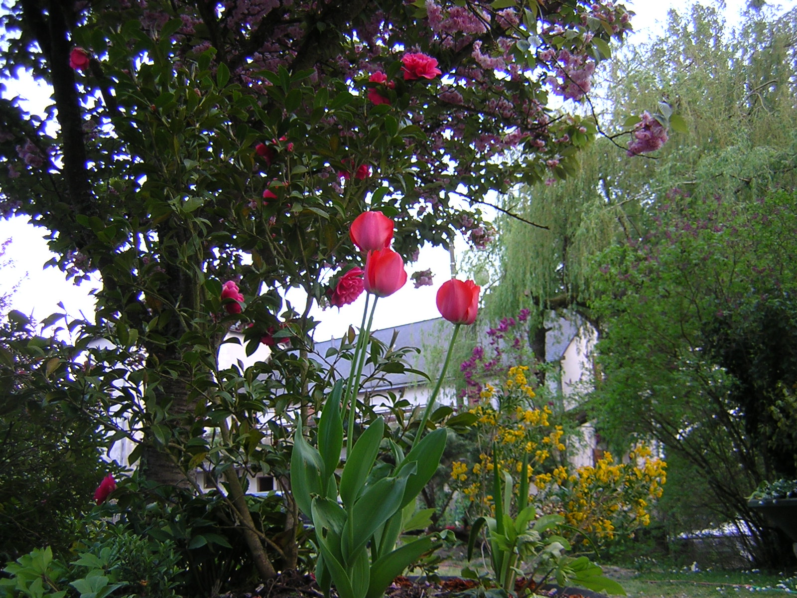 DSCN0503