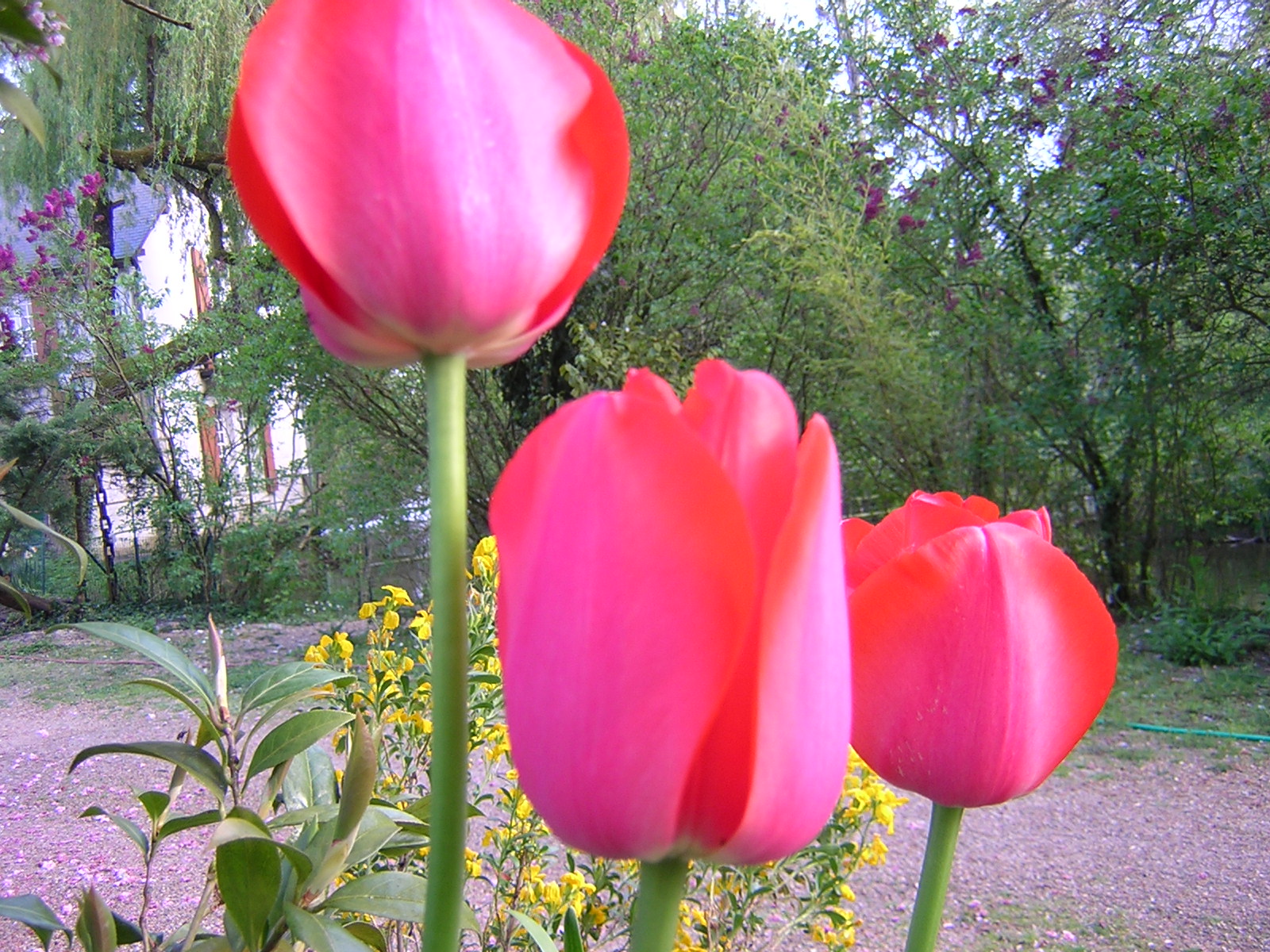 DSCN0518