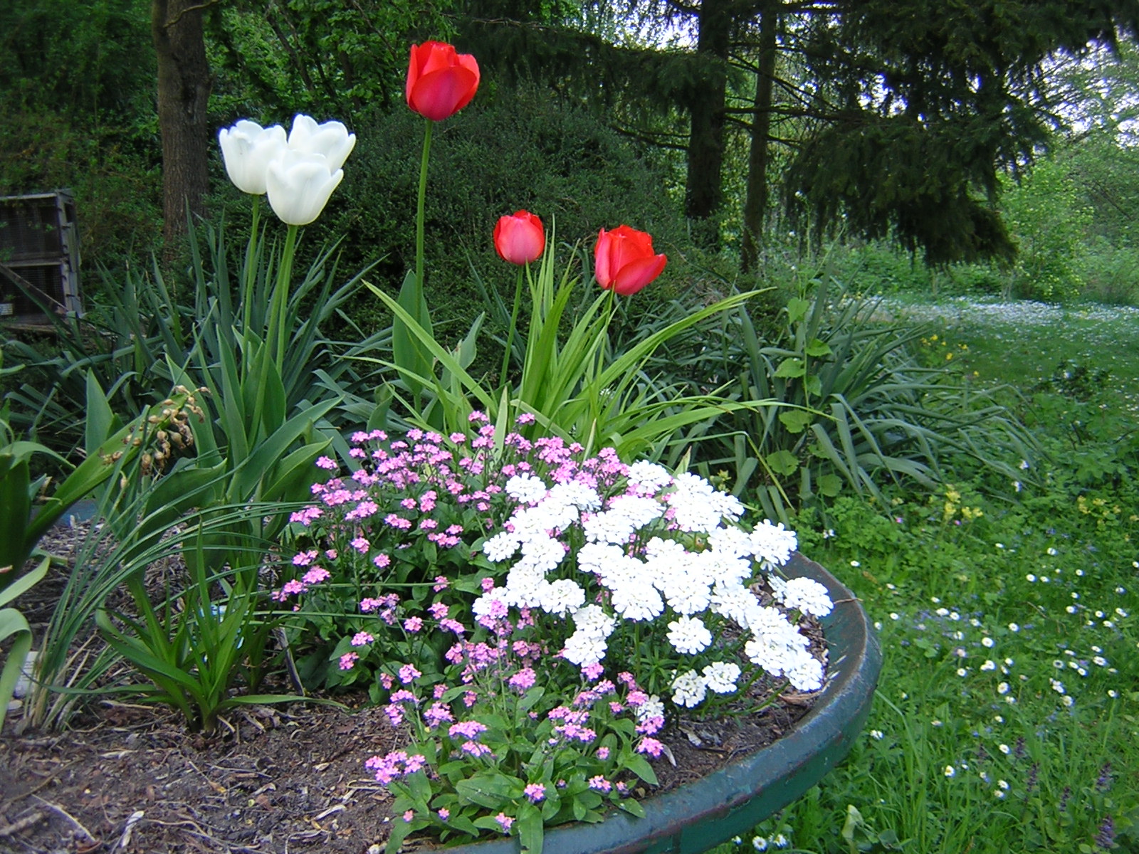 DSCN0504