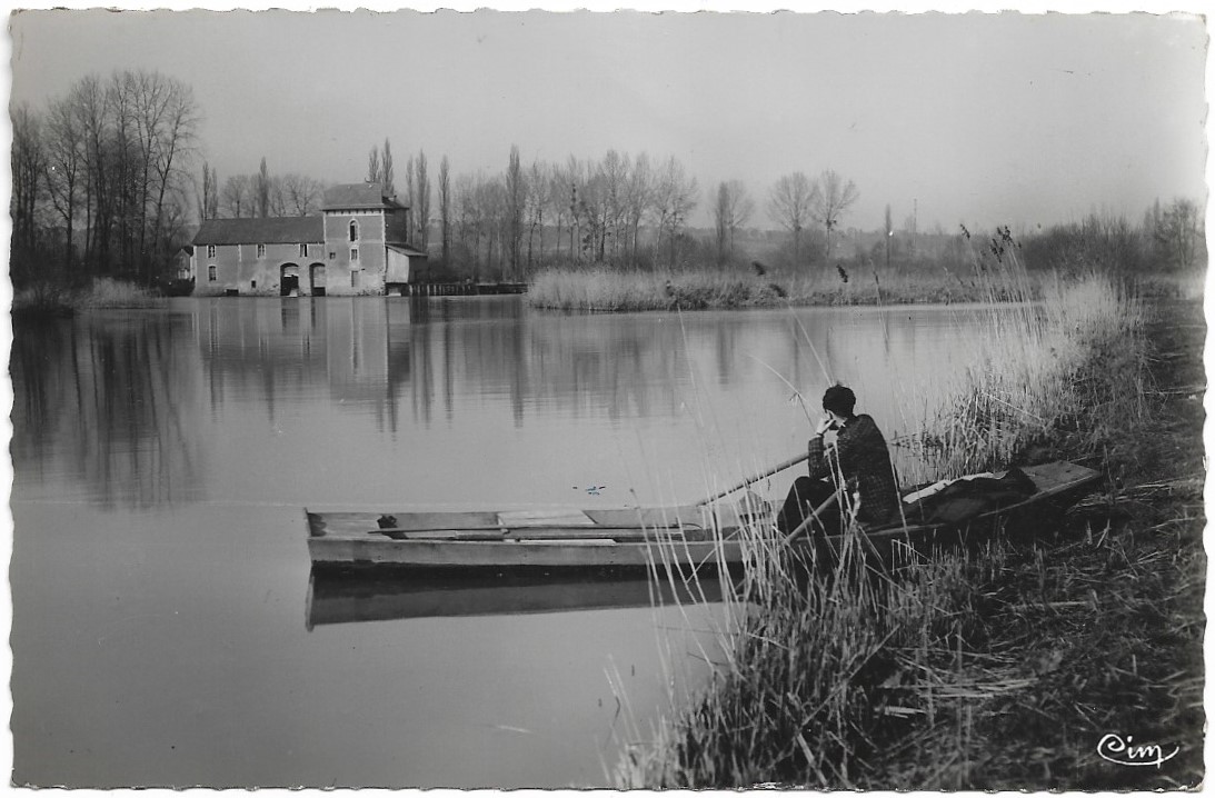 Carte postale 1950